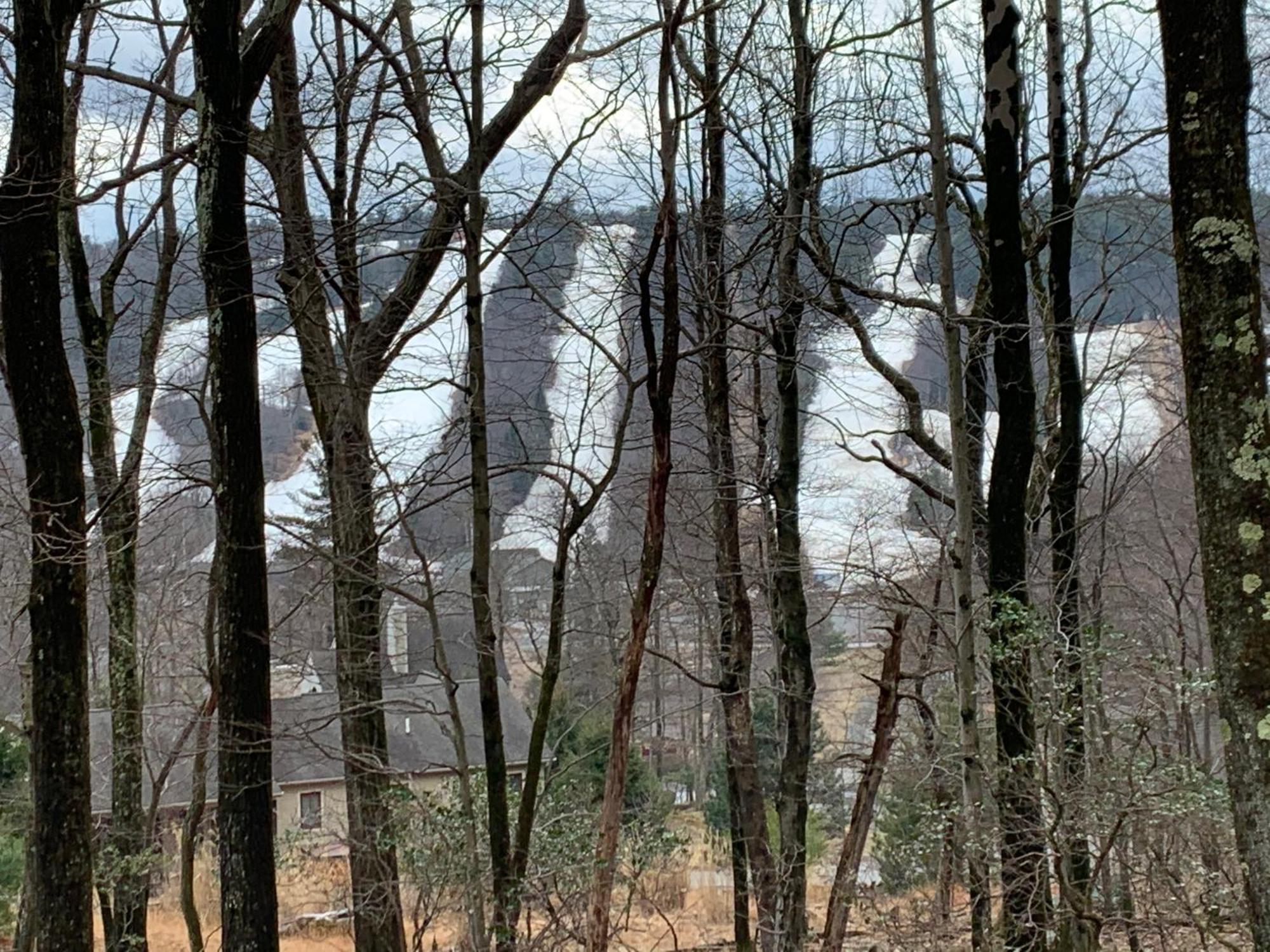 Pocono Mountain View Lake House In Lake Harmony Eksteriør billede